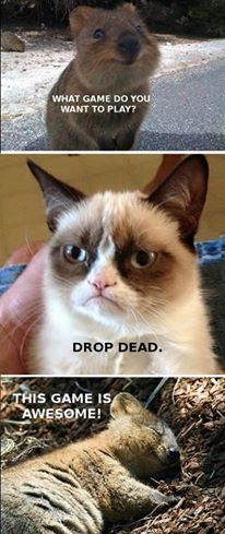 10152486_10155248207360153_2569491139675200304_n