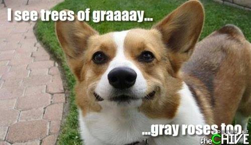 10563174_10155509096570153_4321220158254495076_n