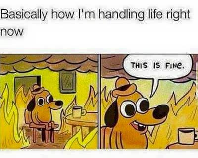 11099173_10155385539085153_3207701684149222023_n