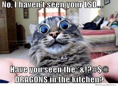 11263141_10155524583925153_2432314600562895224_n