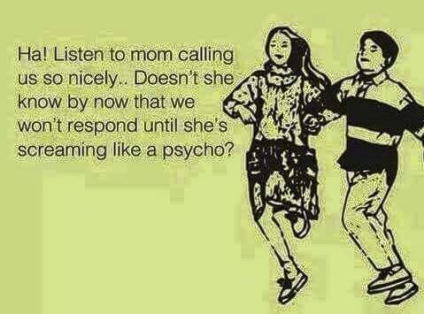 11390072_10155613452980153_4986087848409242149_n